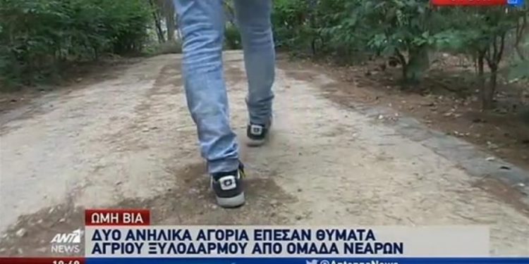 Alldaynews.gr Συγκλονίζει η μητέρα του μαθητή που έπεσε θύμα ξυλοδαρμού στο Αιγάλεω (video)