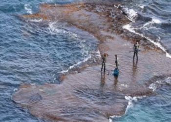 Τρεις έφηβοι βρέθηκαν περικυκλωμένοι από έξι καρχαρίες – Πώς κατάφεραν να γλιτώσουν – ΒΙΝΤΕΟ