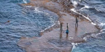 Alldaynews.gr Τρεις έφηβοι βρέθηκαν περικυκλωμένοι από έξι καρχαρίες – Πώς κατάφεραν να γλιτώσουν – ΒΙΝΤΕΟ