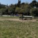 Νεαροί ξυλοκόπησαν μέχρι λιποθυμίας 14χρονους που γύριζαν από φροντιστήριο – Τους έσπασαν σαγόνια, πλευρά…