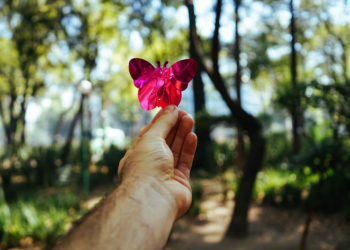 Ζώδια 27 Οκτωβρίου 2019: Τι θα πάθεις σήμερα;