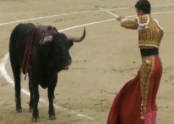 Σοκαριστικό βίντεο με ετοιμοθάνατο ταύρο να καρφώνει με τα κέρατά του ταυρομάχο! (pics, vid)