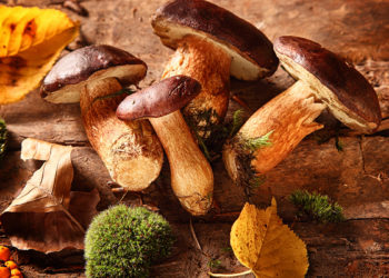 Το αντικαρκινικό τρόφιμο που ενεργοποιεί το ανοσοποιητικό σύστημα