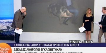 Θηλυκό γουρούνι κυνηγά τον ρεπόρτερ του Παπαδάκη στον αέρα – Τον δαγκώνει και ουρλιάζει