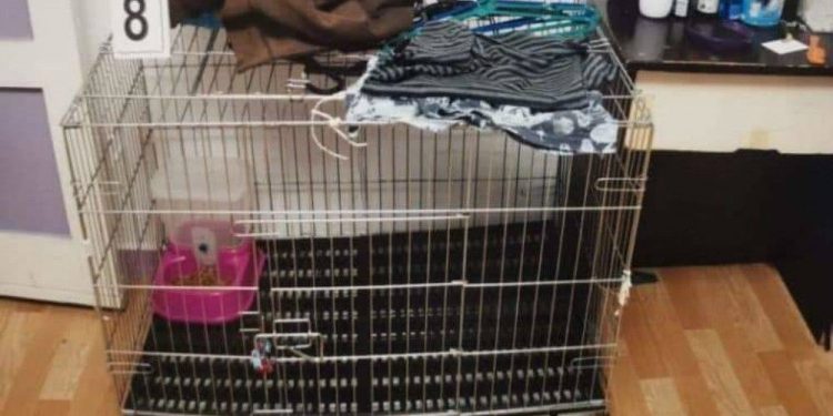 Alldaynews.gr Είχαν κλείσει το 5χρονο παιδί τους σε κλουβί γάτας και το σκότωσαν ρίχνοντάς του καυτό νερό