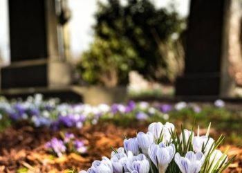 Έστελνε κάθε μέρα μηνύματα στον νεκρό πατέρα της – Και όμως έλαβε απάντηση!