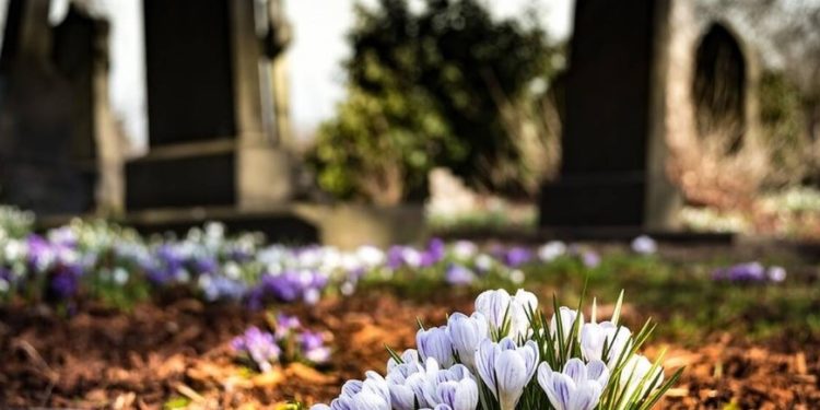 Alldaynews.gr Έστελνε κάθε μέρα μηνύματα στον νεκρό πατέρα της – Και όμως έλαβε απάντηση!