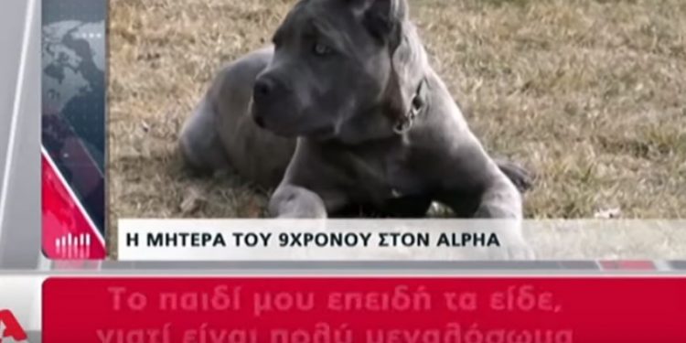 Alldaynews.gr Σοκάρει η μητέρα του 9χρονου – «Το παιδί είναι πετσοκομμένο από τα σκυλιά»