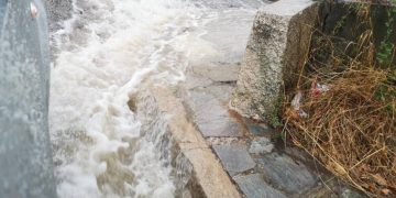 Alldaynews.gr Νέα Τραγωδία: Πνίγηκαν προσπαθώντας να σώσουν σκύλους από πλημμυρισμένο καταφύγιο