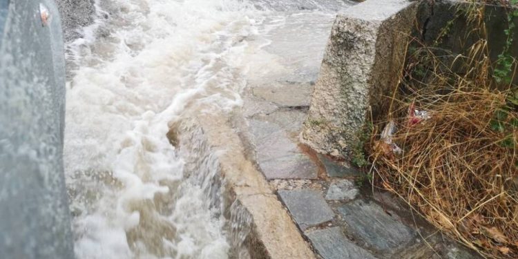 Alldaynews.gr Νέα Τραγωδία: Πνίγηκαν προσπαθώντας να σώσουν σκύλους από πλημμυρισμένο καταφύγιο