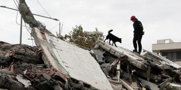 Alldaynews.gr Ανείπωτη θλίψη στην Αλβανία: Ανέσυραν νεκρούς μάνα με δίχρονα δίδυμα και 7χρονο γιο από τα συντρίμμια (pics, vid)