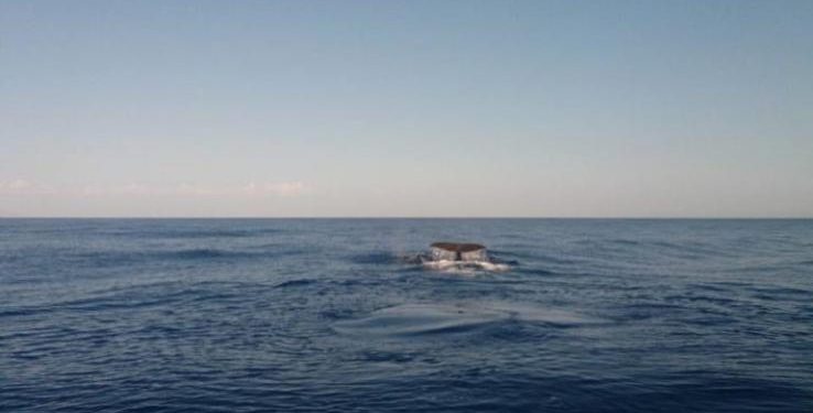 Νεκρή φάλαινα ξεβράστηκε στην Κερατέα (Video)