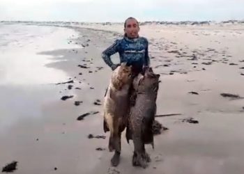 Ο Έλληνας ψαροντουφεκάς με το ρεκόρ τσιπούρας ξαναχτύπησε: Δείτε τι έβγαλε στο Μεξικό