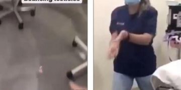 Κτηνίατροι απολύθηκαν επειδή έπαιζαν με τους όρχεις ευνουχισμένου σκύλου και φώναζαν στο αυτί κουφής γάτας (Photos/Video)