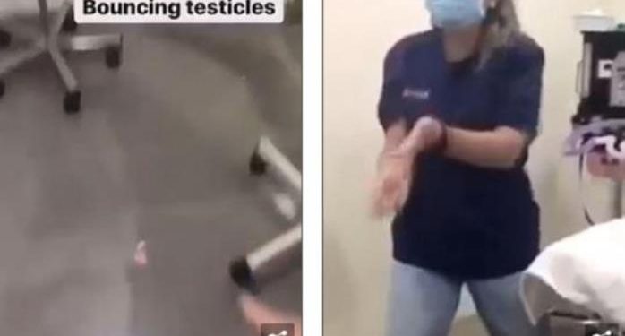 Κτηνίατροι απολύθηκαν επειδή έπαιζαν με τους όρχεις ευνουχισμένου σκύλου και φώναζαν στο αυτί κουφής γάτας (Photos/Video)