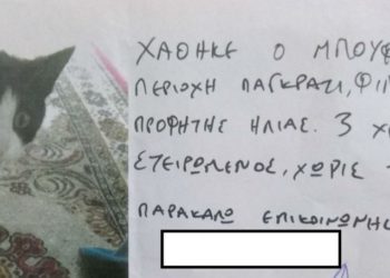 Μυθική απάντηση σε ανακοίνωση για χαμένο γάτο στο Παγκράτι που τον έλεγαν Μπούφο (pic)