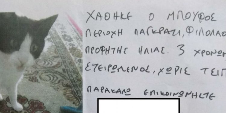 Μυθική απάντηση σε ανακοίνωση για χαμένο γάτο στο Παγκράτι που τον έλεγαν Μπούφο (pic)