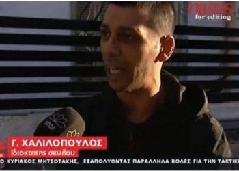 Πιτ μπουλ δάγκωσε αστυνομικούς – Τι είπε για την επίθεση ο ιδιοκτήτης του σκύλου[video]