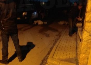 Βοιωτία: Για μια πινακίδα έγινε το φονικό με θύματα πατέρα και γιο[Σοκαριστικές Εικόνες]