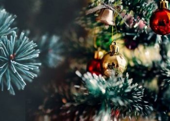 Alldaynews.gr Χρόνια Πολλά και Καλά Χριστούγεννα απο το Alldaynews.gr και τους Συνεργάτες του