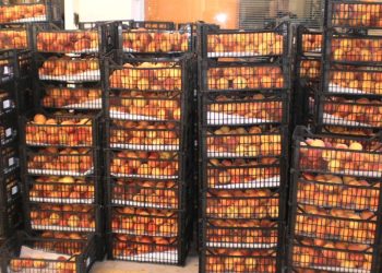 Χειροπέδες σε 64χρονο για απάτη – Κατόρθωσε να πάρει 18 τόνους φρούτα από συνεταιρισμό της Λάρισας!