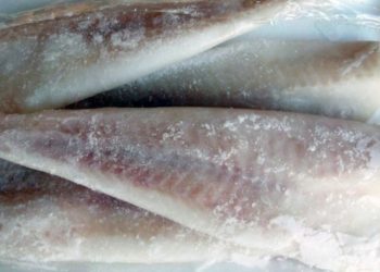 Προσοχή: Μας πουλάνε καρχαρία «σαπουνά» για γαλέο (pics)