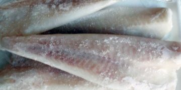 Alldaynews.gr Προσοχή: Μας πουλάνε καρχαρία «σαπουνά» για γαλέο (pics)