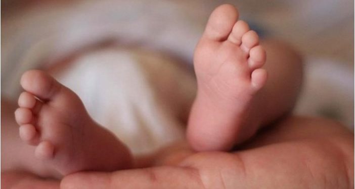 Διδυμότειχο: Αφαιρέθηκε από τους γονείς η επιμέλεια του βρέφους που δάγκωσαν τα ποντίκια [photos]