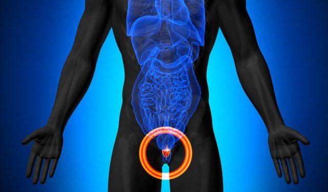 Πού είναι το σημείο G του άντρα και γιατί είναι …δυσπρόσιτο