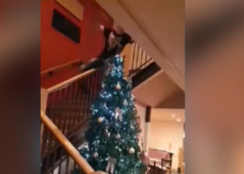 Συγνώμη έπεσα! Διέλυσε το Χριστουγεννιάτικο δέντρο με πτώση κασκαντέρ (video)