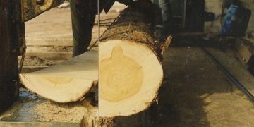 Alldaynews.gr Στο «σφυρί» βγαίνει γνωστή βιομηχανία ξύλου