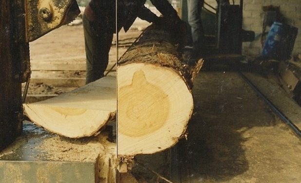 Alldaynews.gr Στο «σφυρί» βγαίνει γνωστή βιομηχανία ξύλου