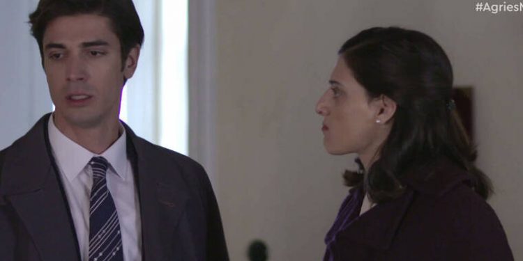 Alldaynews.gr Άγριες Μέλισσες: Το χαστούκι της Θεοδοσίας που θα φέρει την μεγάλη ανατροπή – Καθηλωτική σκηνή