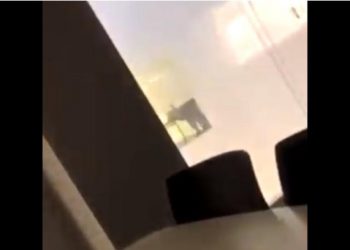 Σάλος σε Πανεπιστήμιο! Φοιτητές έκαναν σεξ “φόρα παρτίδα” στο αναγνωστήριο[video]