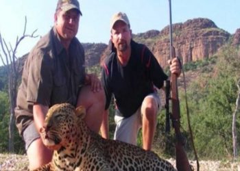 Αυτός ο άνδρας σκότωνε ελέφαντες και λιοντάρια για χόμπι…Τελικά τιμωρήθηκε με τον πιο φρικτό τρόπο!