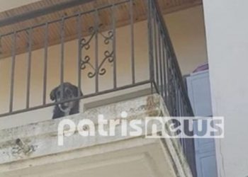 Έφυγε για 10 μέρες και άφησε τον σκύλο στο μπαλκόνι – Γείτονες και πυροσβέστες έσωσαν το ζώο