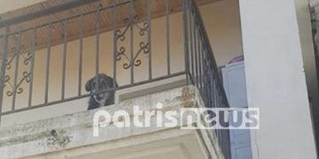 Έφυγε για 10 μέρες και άφησε τον σκύλο στο μπαλκόνι – Γείτονες και πυροσβέστες έσωσαν το ζώο
