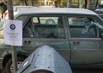 Ο δήμος Αθηναίων τοποθέτησε σπιτάκι για γέρικη αδέσποτη σκυλίτσα στην Κυψέλη