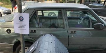 Alldaynews.gr Ο δήμος Αθηναίων τοποθέτησε σπιτάκι για γέρικη αδέσποτη σκυλίτσα στην Κυψέλη