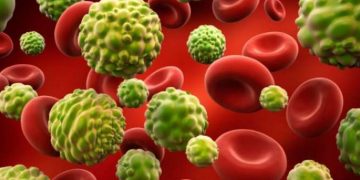 Ο καρκίνος “φοβάται” αυτή την τροφή – Είναι πάμφθηνη και εμείς την αγνοούμε