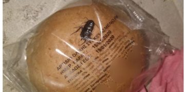 Κατσαρίδα σε… ψωμάκι! Οργή σε δημοτικό σχολείο![photos]