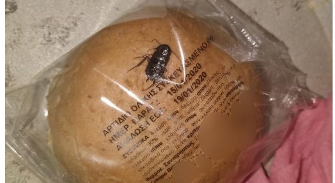 Κατσαρίδα σε… ψωμάκι! Οργή σε δημοτικό σχολείο![photos]