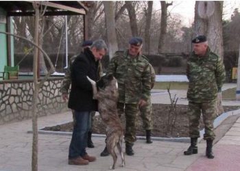 Έλληνες στρατιώτες υιοθέτησαν σκύλο που είχε κακοποιηθεί σε τουρκικό φυλάκιο