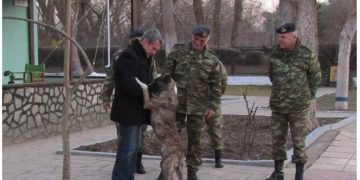 Alldaynews.gr Έλληνες στρατιώτες υιοθέτησαν σκύλο που είχε κακοποιηθεί σε τουρκικό φυλάκιο