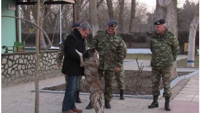 Alldaynews.gr Έλληνες στρατιώτες υιοθέτησαν σκύλο που είχε κακοποιηθεί σε τουρκικό φυλάκιο