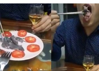 Κίνα: Άνδρας τρώει ζωντανά ποντικάκια και προκαλεί οργή![video]