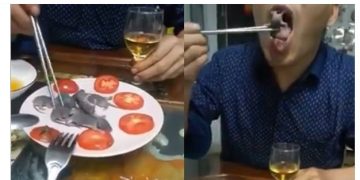 Κίνα: Άνδρας τρώει ζωντανά ποντικάκια και προκαλεί οργή![video]