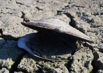 Επιστήμονας προειδοποιεί: «Εφιαλτικό» το μέλλον της Ελλάδας