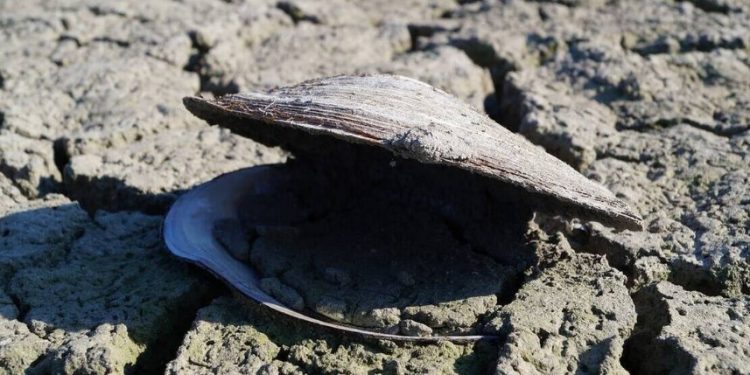 Alldaynews.gr Επιστήμονας προειδοποιεί: «Εφιαλτικό» το μέλλον της Ελλάδας