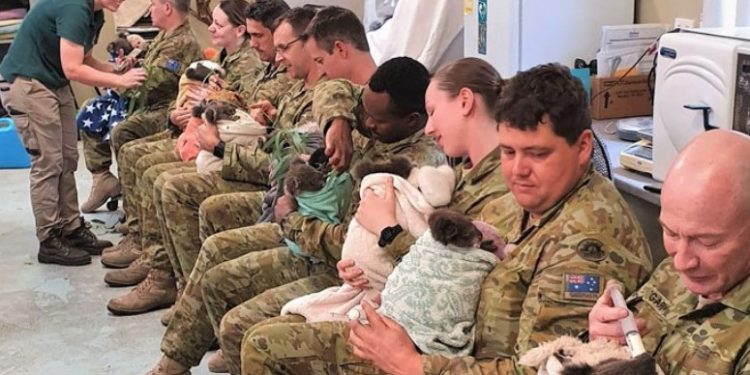 Alldaynews.gr Αυστραλία: Στρατιώτες φροντίζουν στον ελεύθερο χρόνο τους κοάλα που σώθηκαν από τις φωτιές